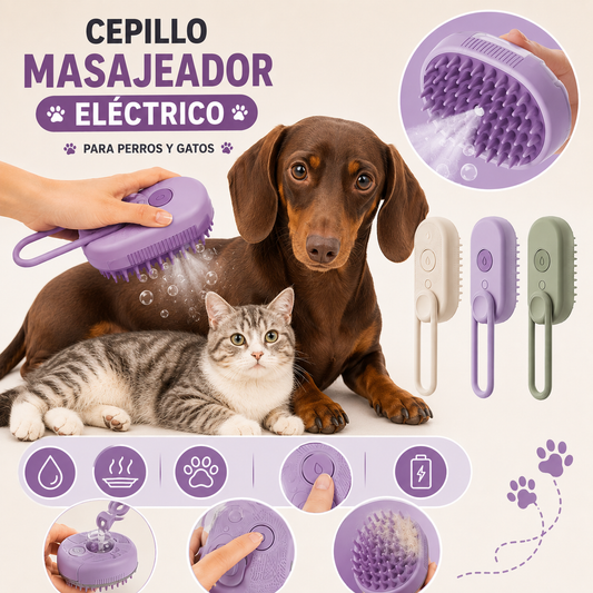 Cepillo Eléctrico de Vapor — Menos pelo, menos desorden